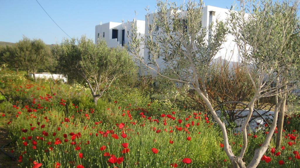 Aronis Plaka Naxos 아파트 외부 사진