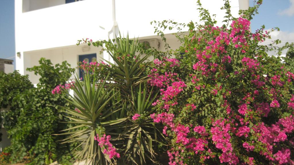 Aronis Plaka Naxos 아파트 외부 사진